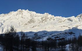 La Coquille De Neige